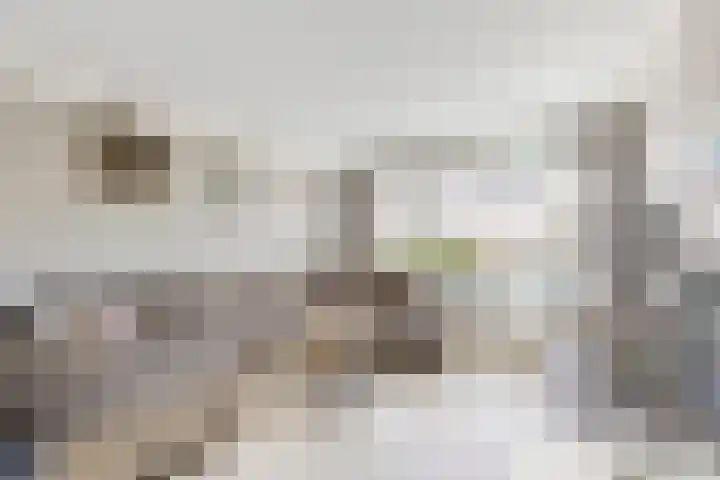 Willem de Zwijgerstraat 8 Fijnaart thumbnail 11
