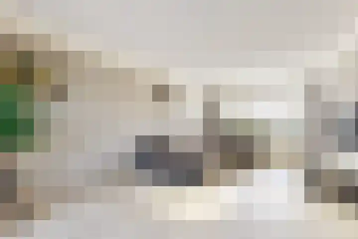 Willem de Zwijgerstraat 8 Fijnaart thumbnail 12