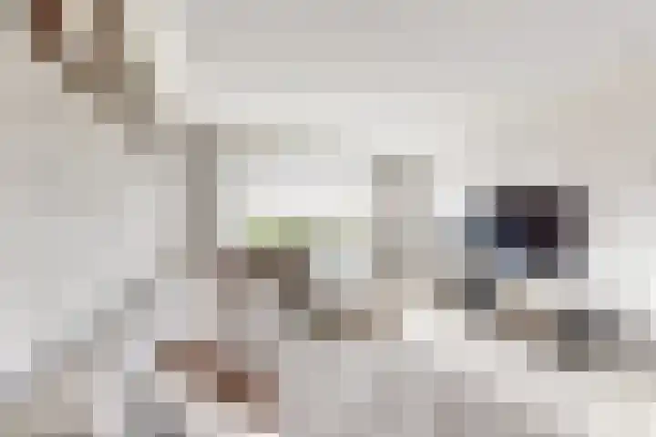Willem de Zwijgerstraat 8 Fijnaart thumbnail 13