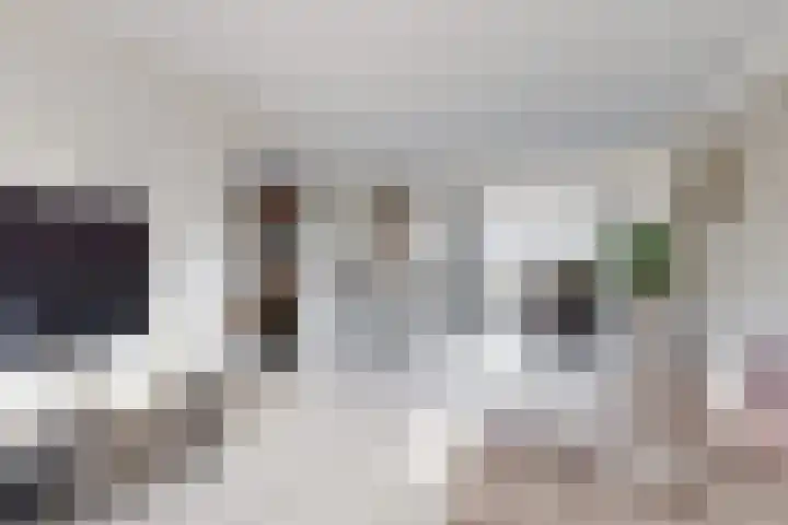 Willem de Zwijgerstraat 8 Fijnaart thumbnail 14