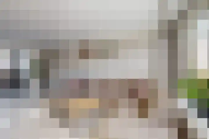 Willem de Zwijgerstraat 8 Fijnaart thumbnail 15