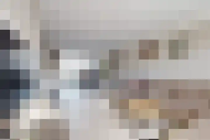 Willem de Zwijgerstraat 8 Fijnaart thumbnail 16