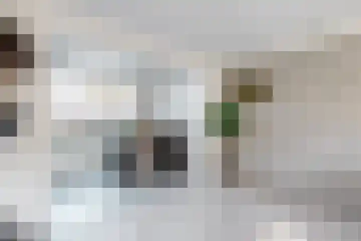 Willem de Zwijgerstraat 8 Fijnaart thumbnail 19
