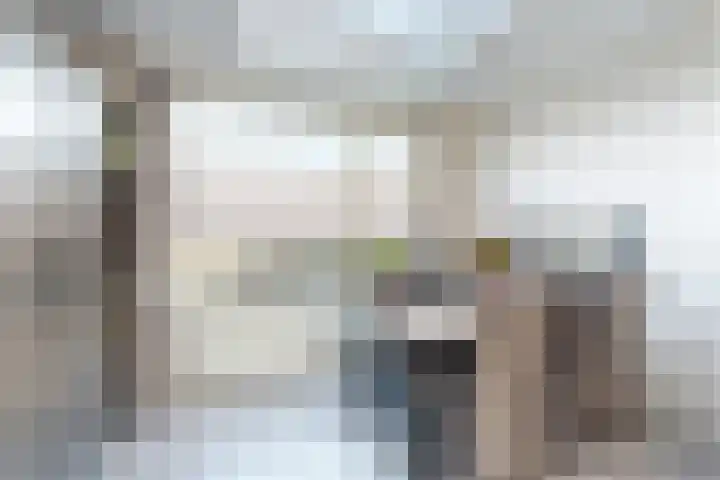 Willem de Zwijgerstraat 8 Fijnaart thumbnail 21