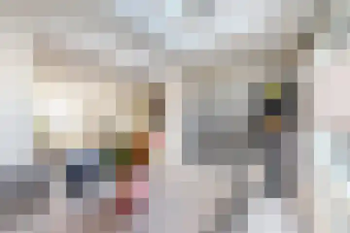 Willem de Zwijgerstraat 8 Fijnaart thumbnail 23