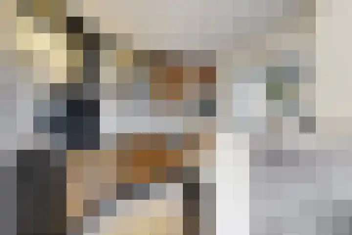 Willem de Zwijgerstraat 8 Fijnaart thumbnail 24