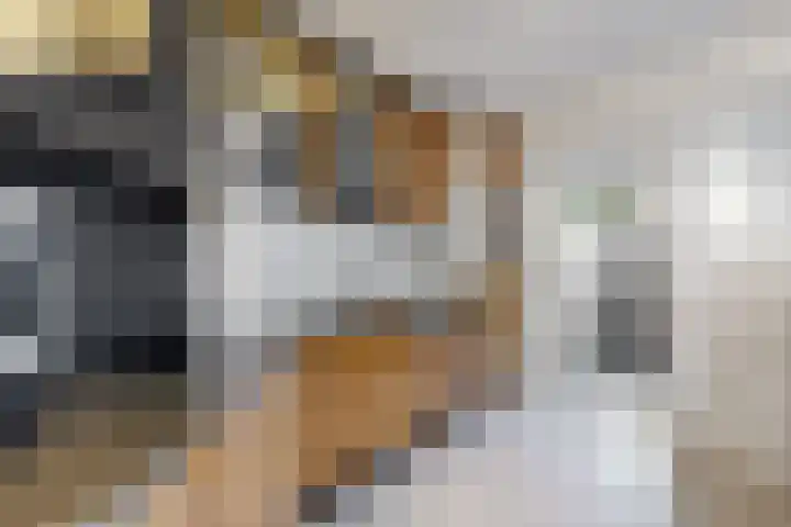 Willem de Zwijgerstraat 8 Fijnaart thumbnail 25