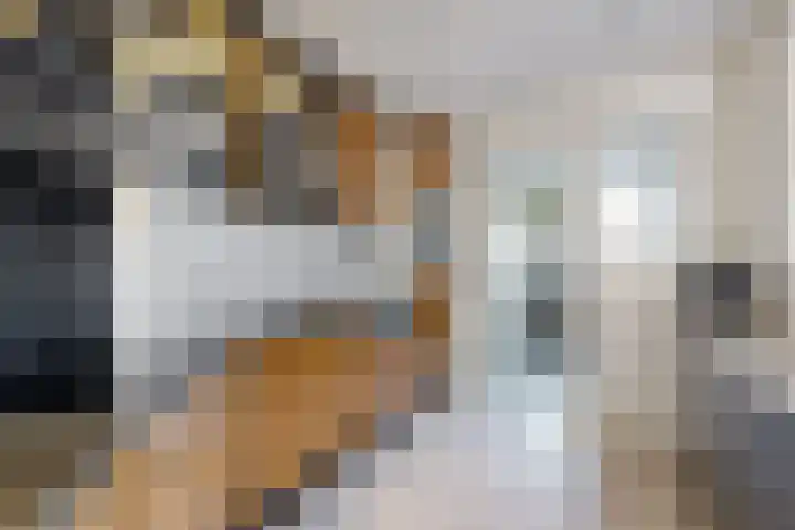 Willem de Zwijgerstraat 8 Fijnaart thumbnail 26