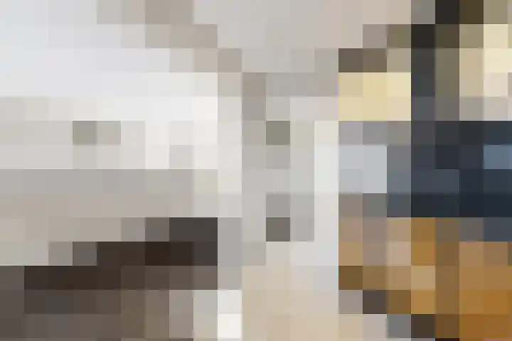Willem de Zwijgerstraat 8 Fijnaart thumbnail 27
