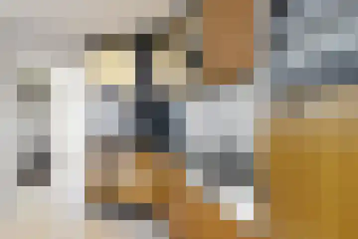 Willem de Zwijgerstraat 8 Fijnaart thumbnail 28