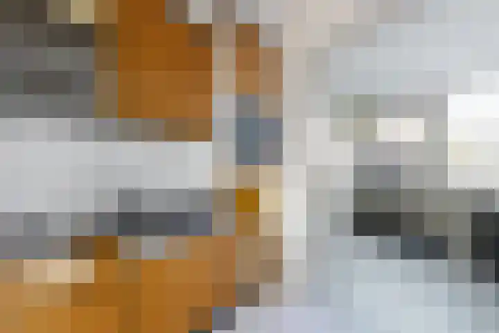 Willem de Zwijgerstraat 8 Fijnaart thumbnail 29
