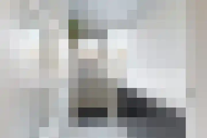 Willem de Zwijgerstraat 8 Fijnaart thumbnail 30