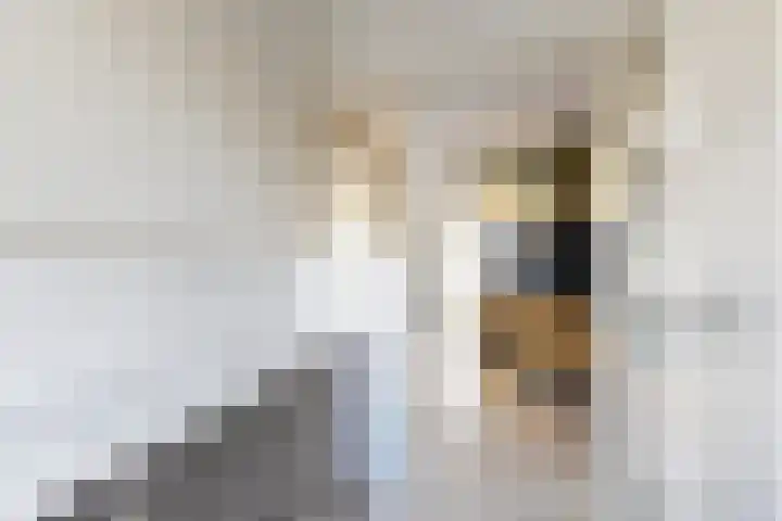 Willem de Zwijgerstraat 8 Fijnaart thumbnail 31