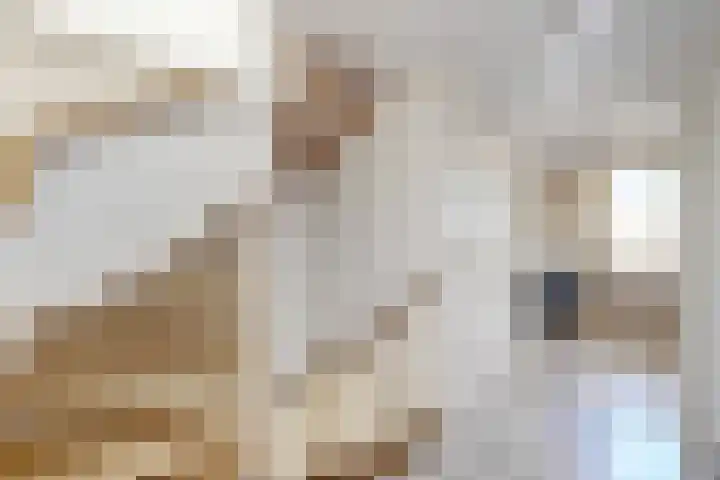 Willem de Zwijgerstraat 8 Fijnaart thumbnail 32