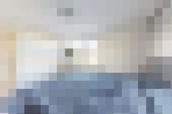 Willem de Zwijgerstraat 8 Fijnaart thumbnail 34