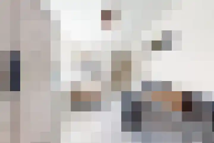 Willem de Zwijgerstraat 8 Fijnaart thumbnail 39