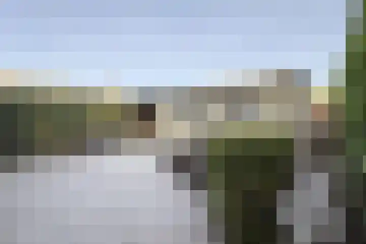 Willem de Zwijgerstraat 8 Fijnaart thumbnail 49