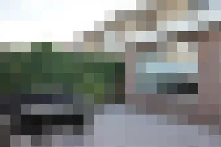 Willem de Zwijgerstraat 8 Fijnaart thumbnail 53