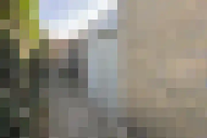 Willem de Zwijgerstraat 8 Fijnaart thumbnail 59