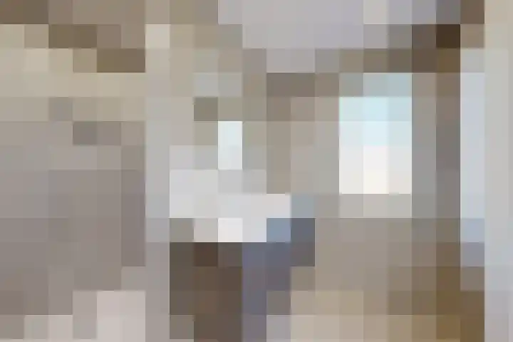 Willem de Zwijgerstraat 8 Fijnaart thumbnail 6
