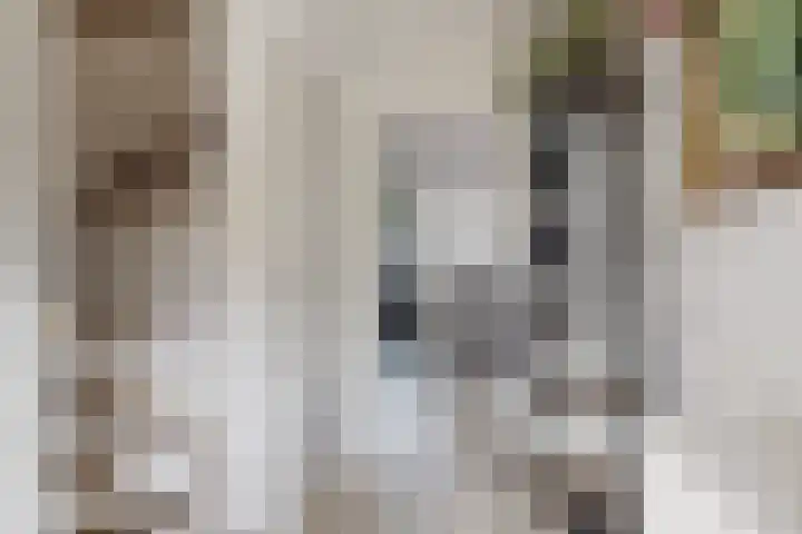 Willem de Zwijgerstraat 8 Fijnaart thumbnail 7