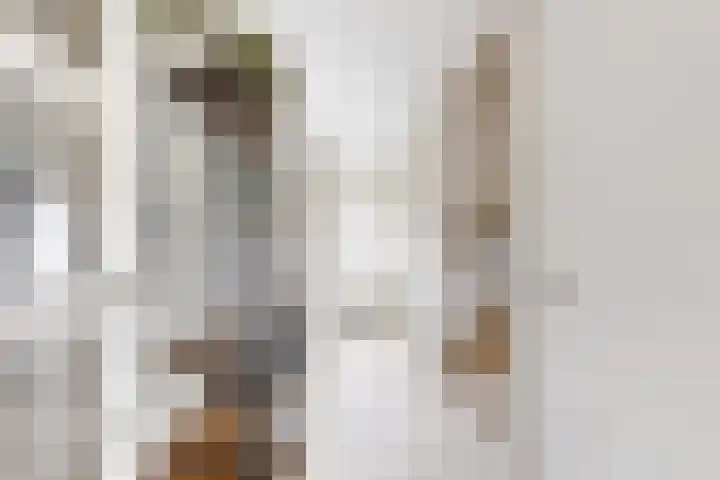 Willem de Zwijgerstraat 8 Fijnaart thumbnail 8