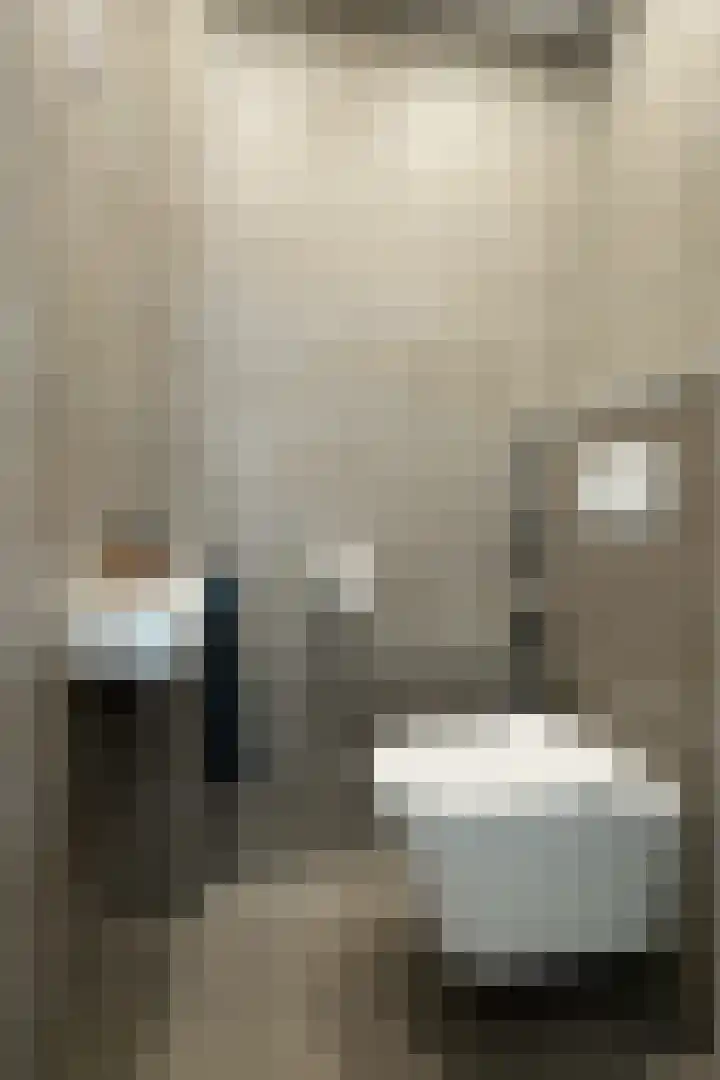 Willem de Zwijgerstraat 8 Fijnaart thumbnail 9