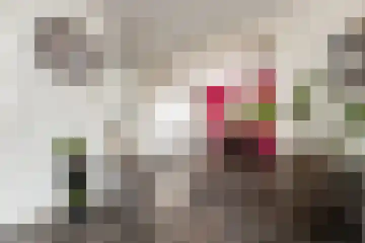 Willem de Zwijgerstraat 82 Veen thumbnail 12