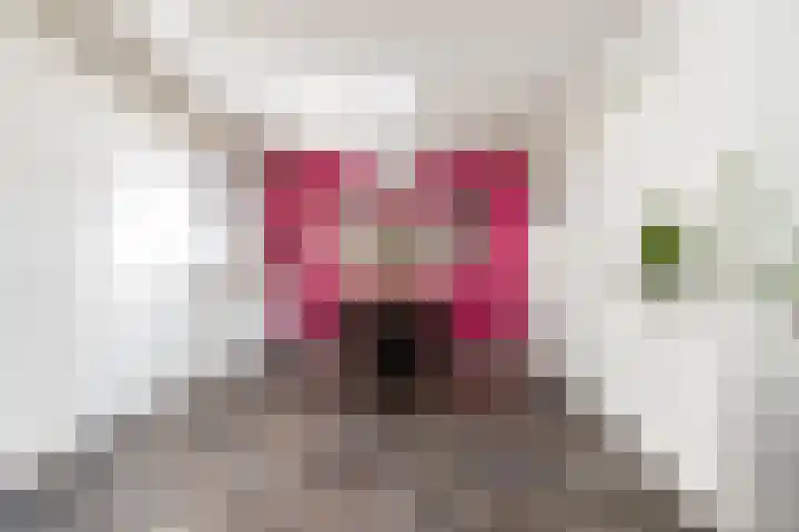 Willem de Zwijgerstraat 82 Veen thumbnail 13