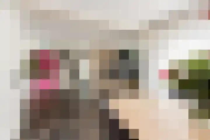 Willem de Zwijgerstraat 82 Veen thumbnail 14