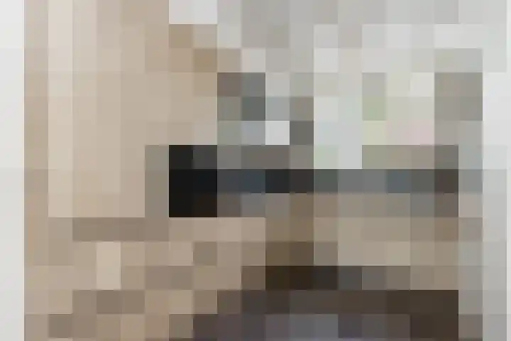 Willem de Zwijgerstraat 82 Veen thumbnail 15