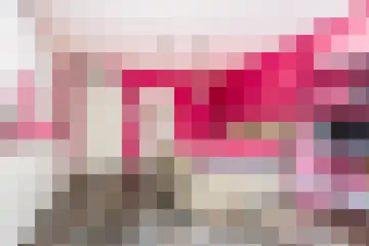 Willem de Zwijgerstraat 82 Veen thumbnail 23