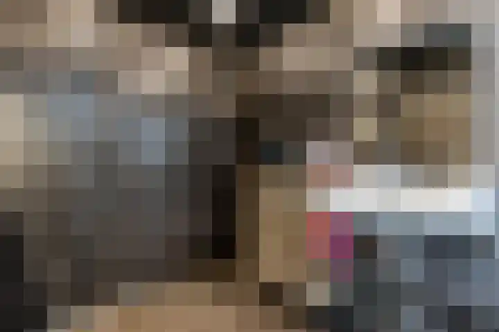 Willem de Zwijgerstraat 82 Veen thumbnail 27