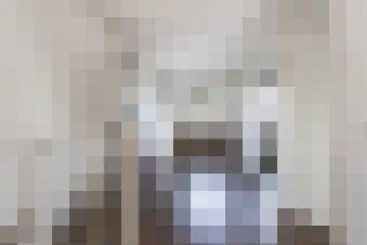 Willem de Zwijgerstraat 82 Veen thumbnail 31