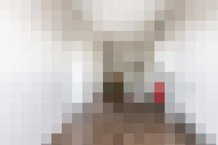 Willem de Zwijgerstraat 82 Veen thumbnail 32