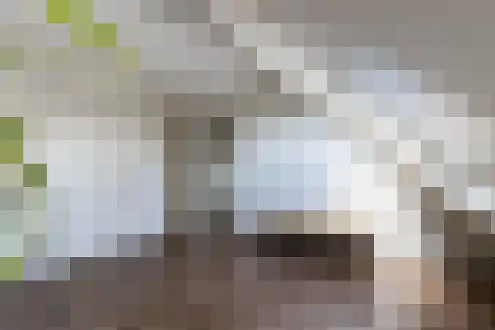Willem de Zwijgerstraat 82 Veen thumbnail 37
