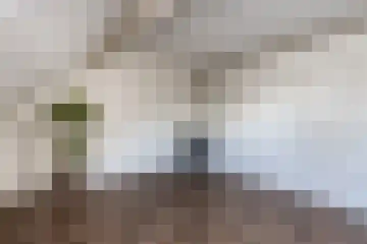 Willem de Zwijgerstraat 82 Veen thumbnail 38
