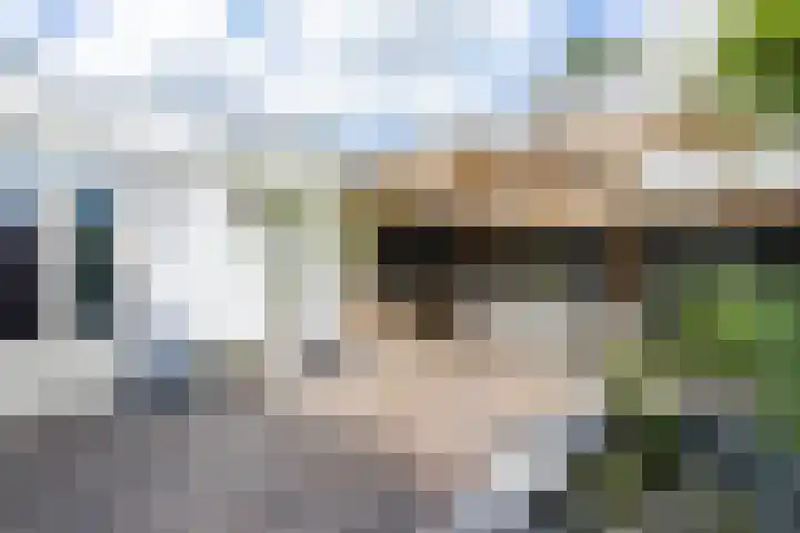 Willem de Zwijgerstraat 82 Veen thumbnail 39