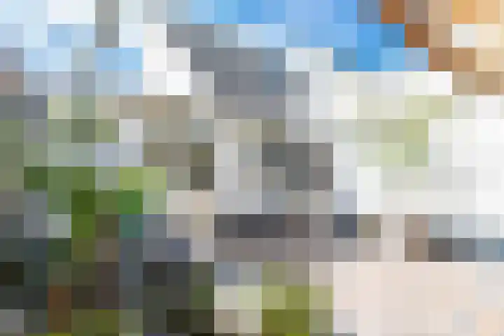 Willem de Zwijgerstraat 82 Veen thumbnail 47