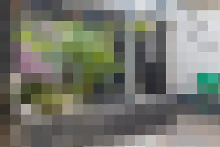 Willem de Zwijgerstraat 82 Veen thumbnail 48