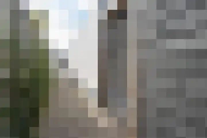 Willem de Zwijgerstraat 82 Veen thumbnail 49