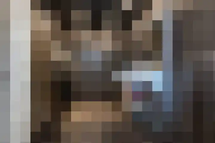 Willem de Zwijgerstraat 82 Veen thumbnail 5