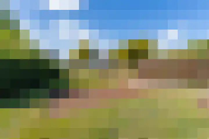 Willem de Zwijgerstraat 82 Veen thumbnail 52