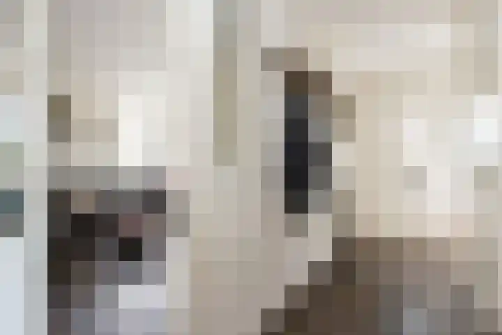 Willem de Zwijgerstraat 82 Veen thumbnail 6