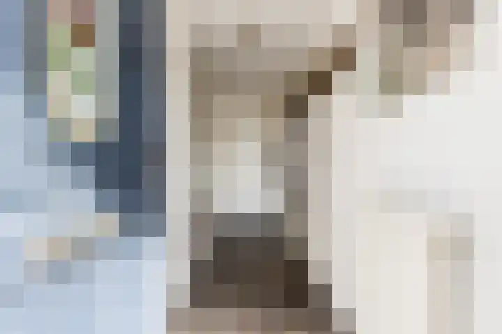 Willem de Zwijgerstraat 82 Veen thumbnail 7