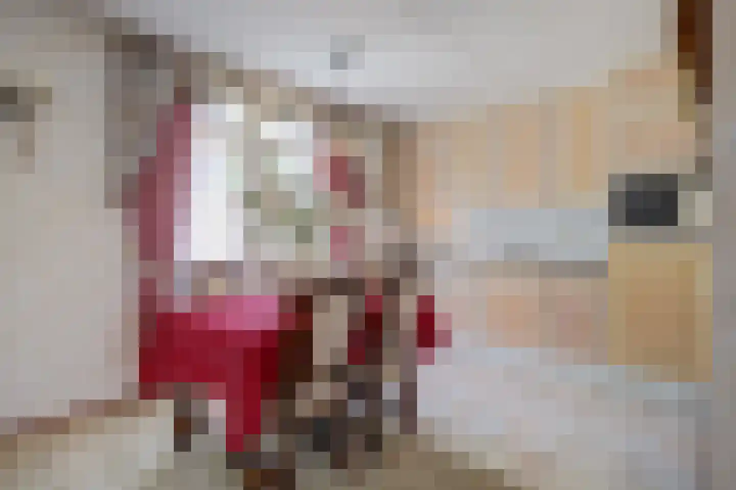 Willem de Zwijgerstraat 86 Veen thumbnail 10