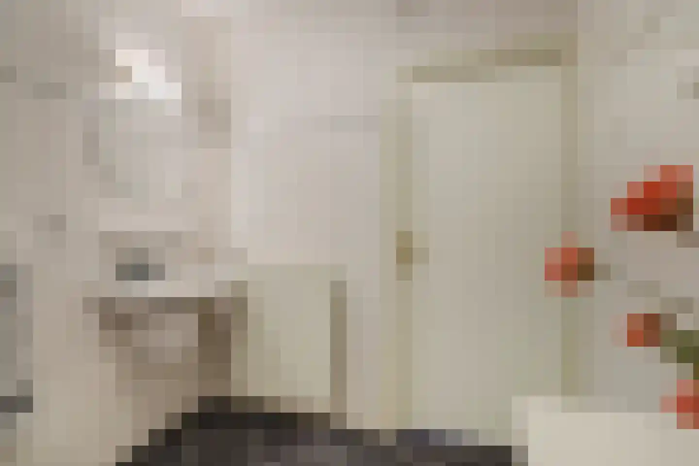Willem de Zwijgerstraat 86 Veen thumbnail 20