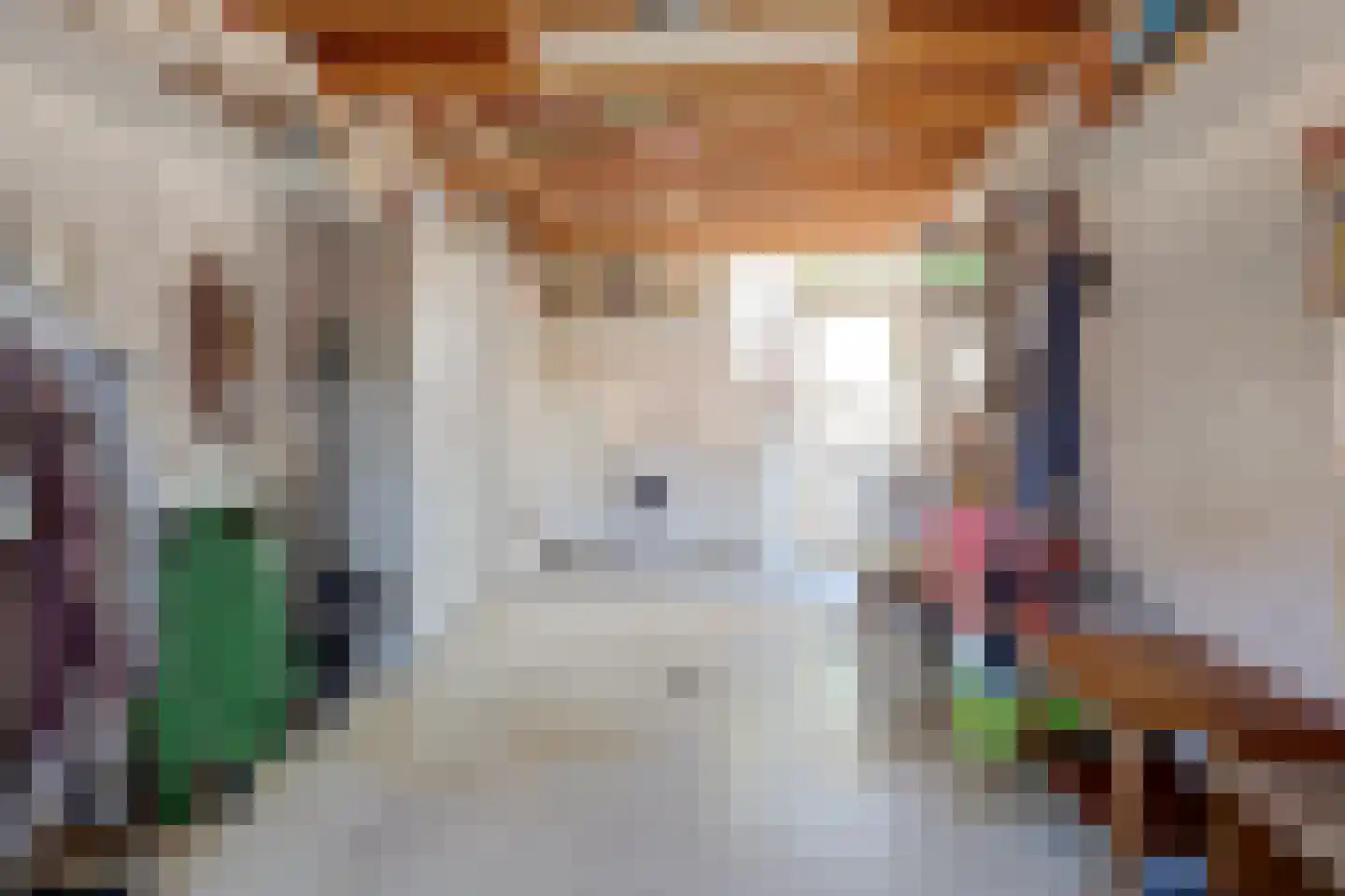 Willem de Zwijgerstraat 86 Veen thumbnail 22