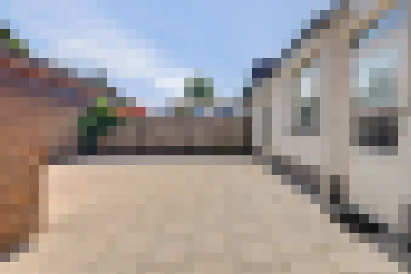 Willem de Zwijgerstraat 86 Veen thumbnail 24