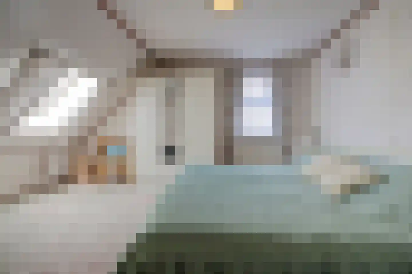 Willem de Zwijgerstraat 86 Veen thumbnail 4